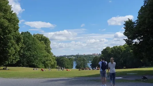 Kontorslokaler att hyra i Solna - foto 13